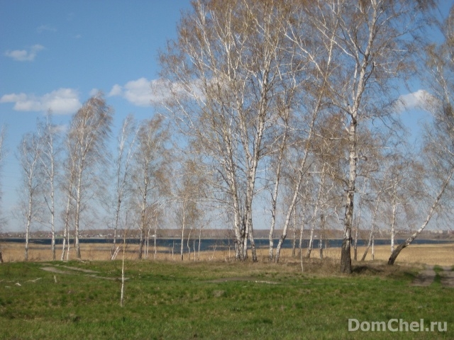 Фото квартиры берег озера Курочкино у санатория Земельные участки