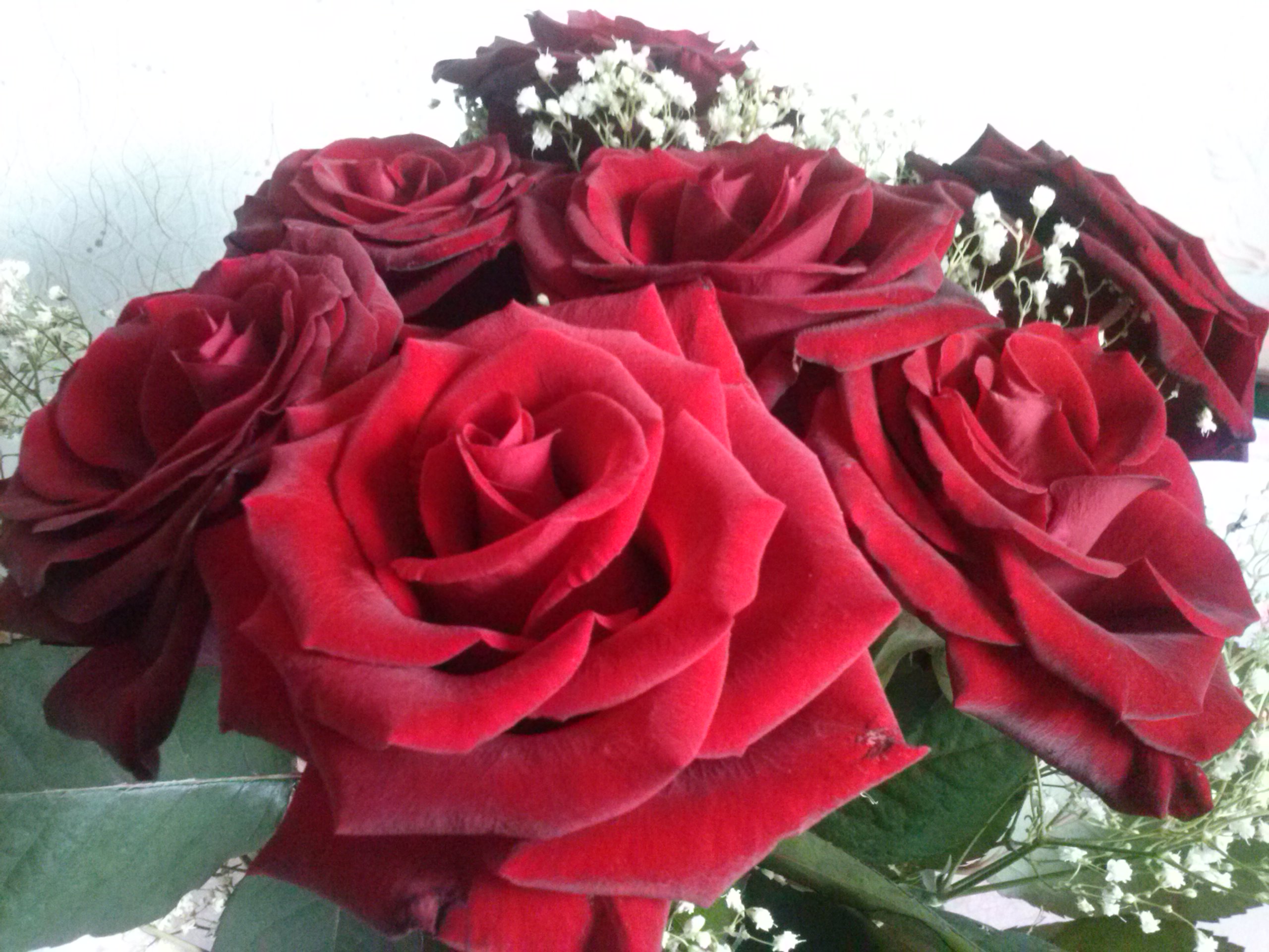 A����-�����