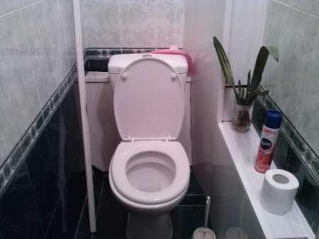���� �������� ���������� �������