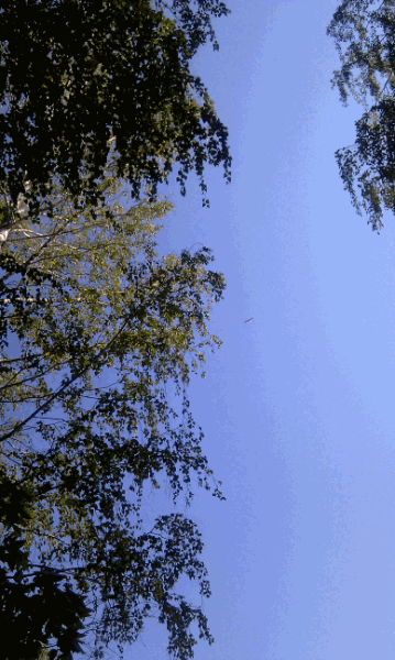 ���� �������� �������� ����� ��������