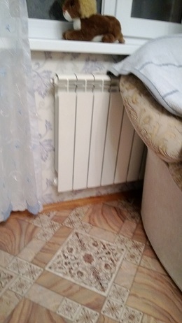 ���� �������� ���������������� ��. �������������