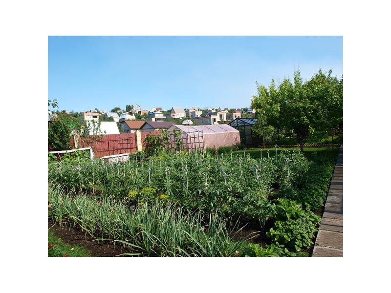 ���� �������� ��� ������������ ��������